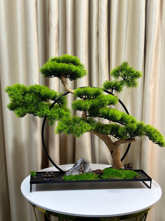 Bonsai unique