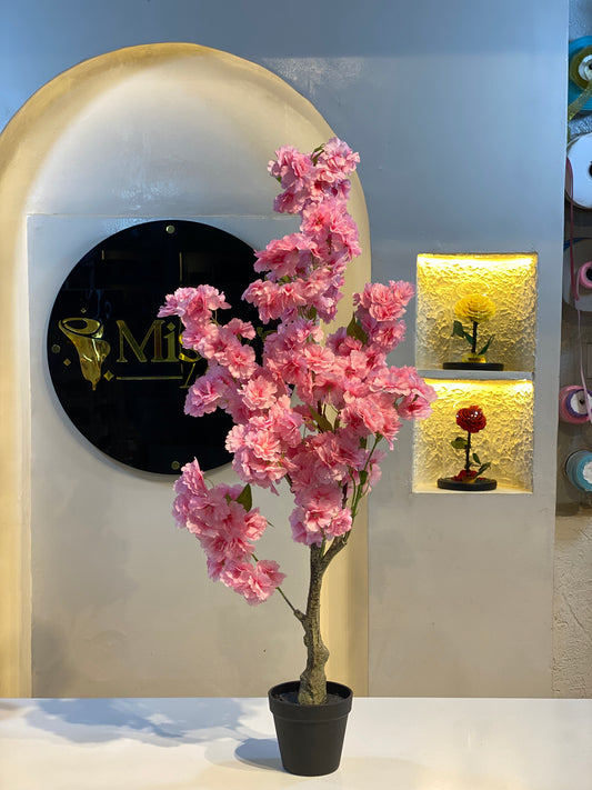 Pink cherry blossom