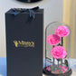 Infinity rose 3 rose
