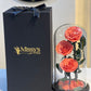 Infinity rose 3 rose