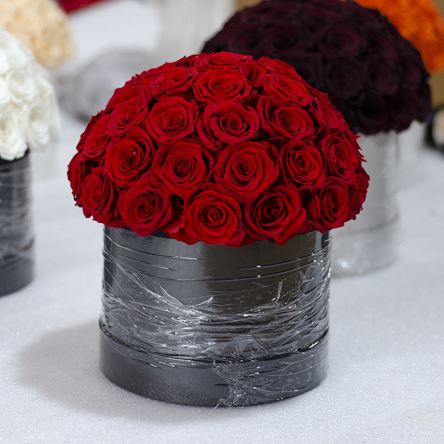 Dome Hug Roses Bucket Infinity Rose