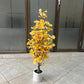 Ginkgo Biloba tree 90cm