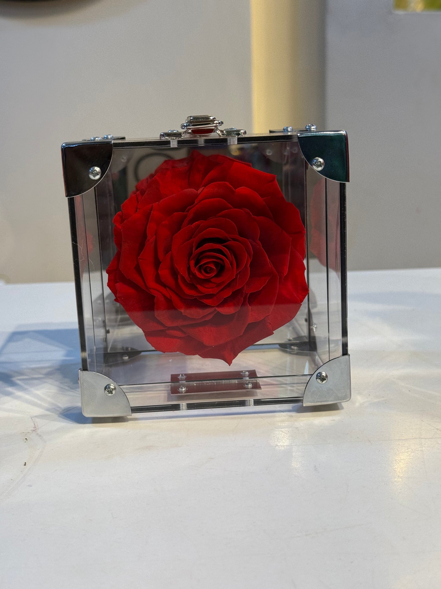 Rose Treasure Infinity Rose