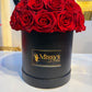 Dome Hug Roses Bucket Infinity Rose